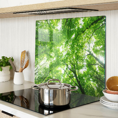 Tábua para corte Florestas e árvores verdes