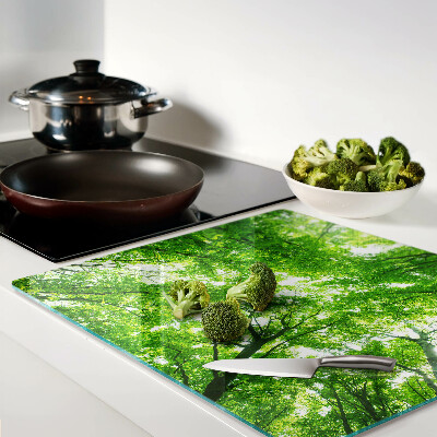 Tábua para corte Florestas e árvores verdes