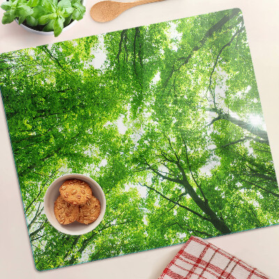 Tábua para corte Florestas e árvores verdes