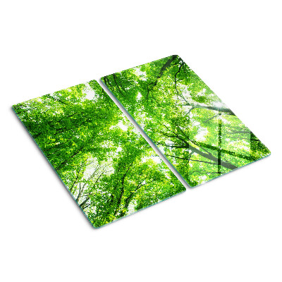 Tábua para corte Florestas e árvores verdes