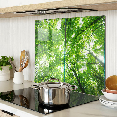 Tábua para corte Florestas e árvores verdes