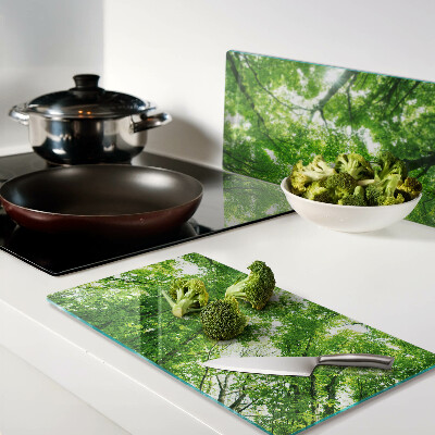 Tábua para corte Florestas e árvores verdes