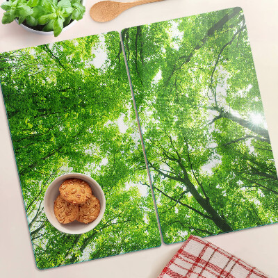 Tábua para corte Florestas e árvores verdes