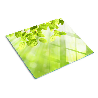 Tábua para corte Folhas verdes contra a luz