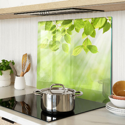 Tábua para corte Folhas verdes contra a luz