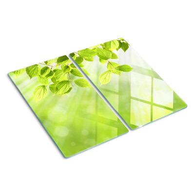 Tábua para corte Folhas verdes contra a luz
