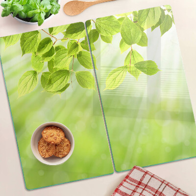 Tábua para corte Folhas verdes contra a luz