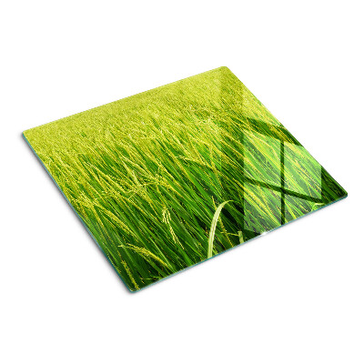 Tábua para cozinha Campo verde de grama