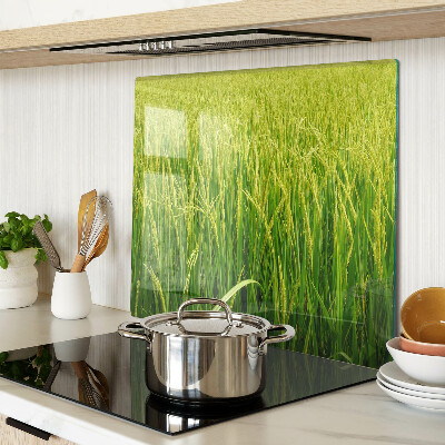 Tábua para cozinha Campo verde de grama