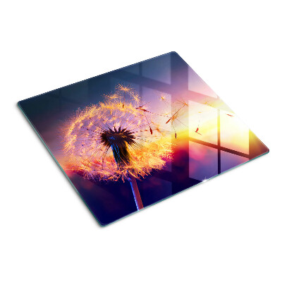 Tábua para cozinha Dentes-de-leão contra o fundo do pôr do sol