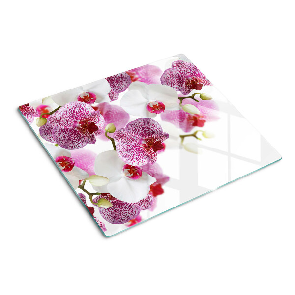 Tábua para corte Orquídeas ao fundo da janela