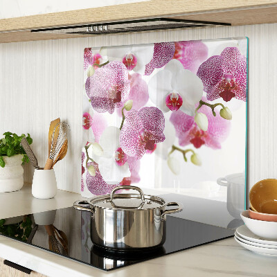 Tábua para corte Orquídeas ao fundo da janela