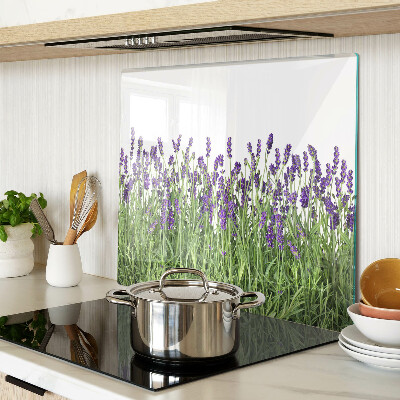 Tábua para corte Campo de lavanda ao sol