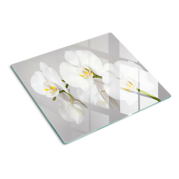 Tábua para cozinha Orquídeas em fundo espelhado