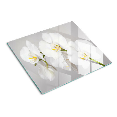 Tábua para cozinha Orquídeas em fundo espelhado