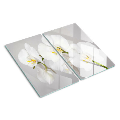 Tábua para cozinha Orquídeas em fundo espelhado
