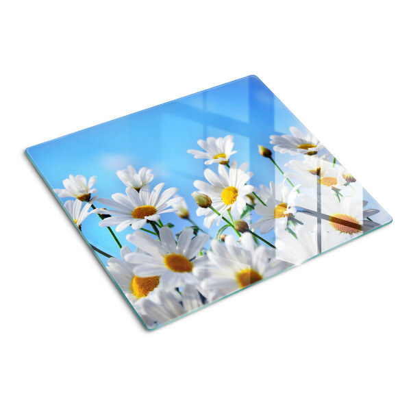 Tábua para corte Flores de margarida em um fundo azul