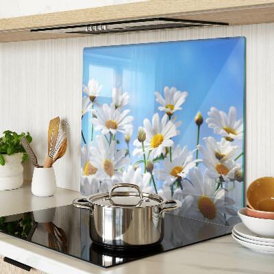 Tábua para corte Flores de margarida em um fundo azul