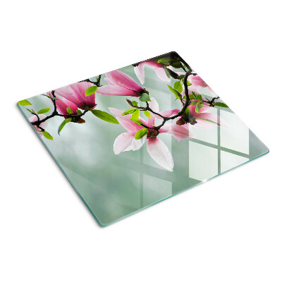 Tábua para corte Flores de magnólia em um fundo de vegetação