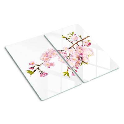 Tábua para cozinha Flor de cerejeira da primavera