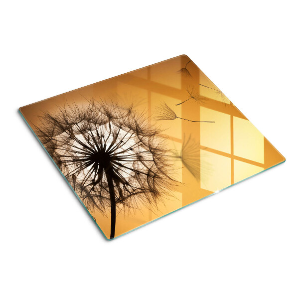 Tábua para corte Dentes-de-leão contra o fundo do pôr do sol