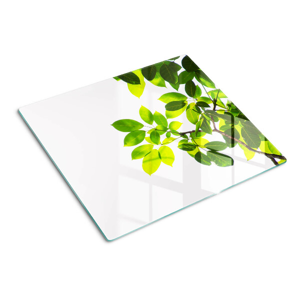 Tábua para cozinha Folhas contra um céu brilhante