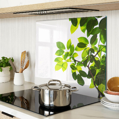 Tábua para cozinha Folhas contra um céu brilhante