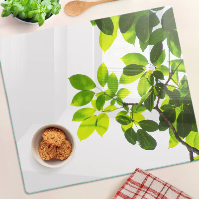 Tábua para cozinha Folhas contra um céu brilhante