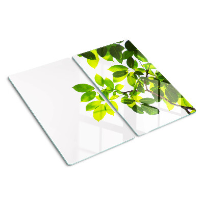 Tábua para cozinha Folhas contra um céu brilhante