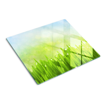 Tábua para cozinha Grama verde com gotas de água