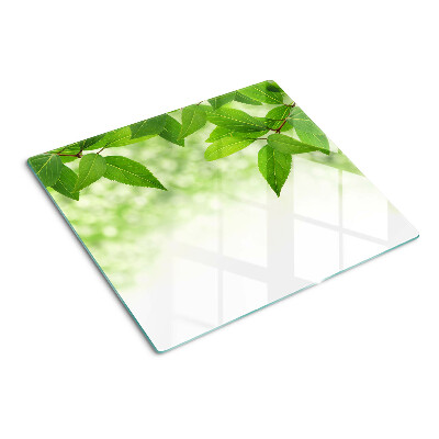 Tábua para corte Folhas contra um fundo de vegetação desfocada