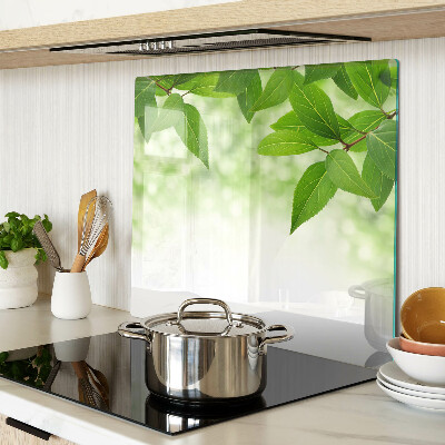 Tábua para corte Folhas contra um fundo de vegetação desfocada