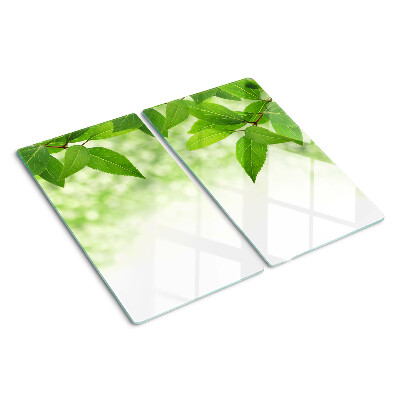 Tábua para corte Folhas contra um fundo de vegetação desfocada