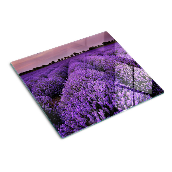 Tábua para corte Um campo de lavanda em plena floração