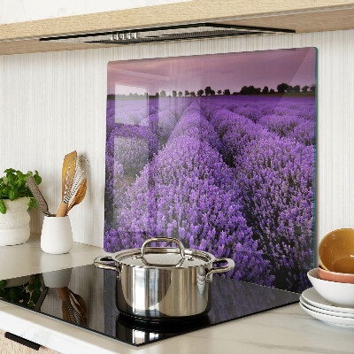 Tábua para corte Um campo de lavanda em plena floração