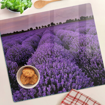 Tábua para corte Um campo de lavanda em plena floração