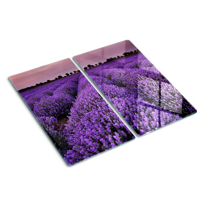 Tábua para corte Um campo de lavanda em plena floração