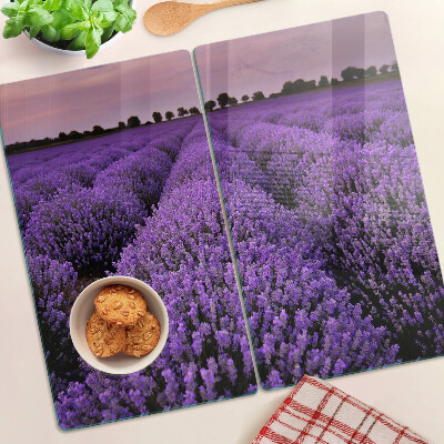Tábua para corte Um campo de lavanda em plena floração