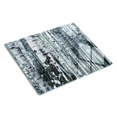 Tábua para corte Floresta de bétulas em paisagem de inverno