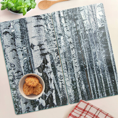 Tábua para corte Floresta de bétulas em paisagem de inverno