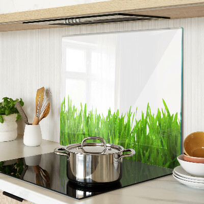 Tábua para cozinha Grama verde com gotas de água