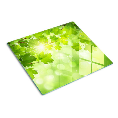 Tábua para corte Folhas sob os raios do sol