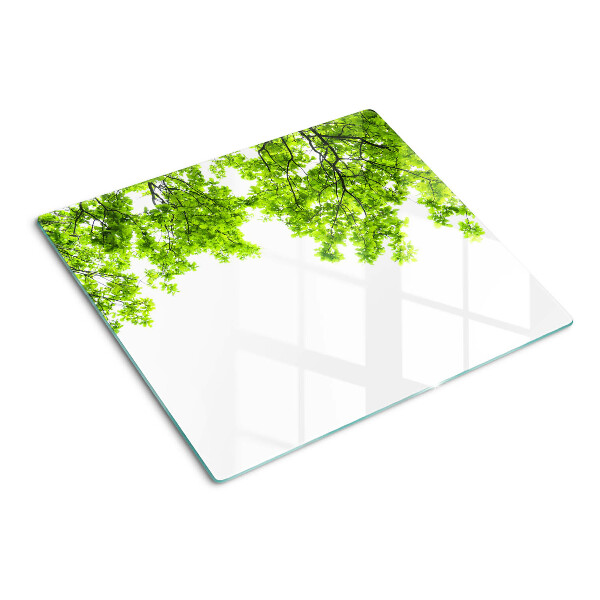 Tábua para corte Folhas verdes contra o céu