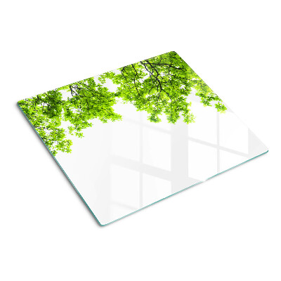 Tábua para corte Folhas verdes contra o céu