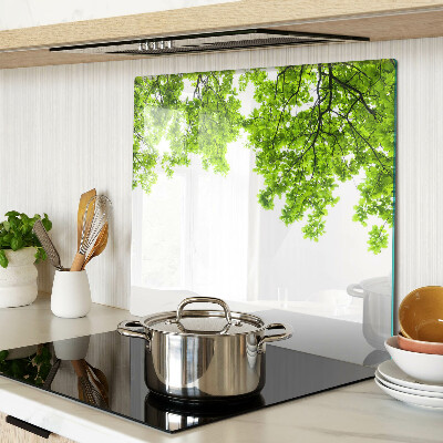 Tábua para corte Folhas verdes contra o céu