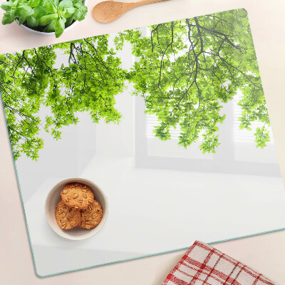 Tábua para corte Folhas verdes contra o céu