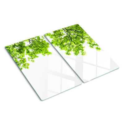 Tábua para corte Folhas verdes contra o céu