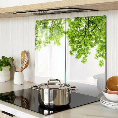 Tábua para corte Folhas verdes contra o céu