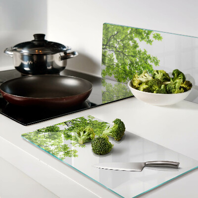 Tábua para corte Folhas verdes contra o céu