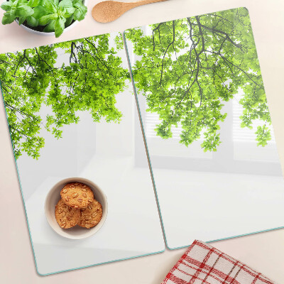 Tábua para corte Folhas verdes contra o céu